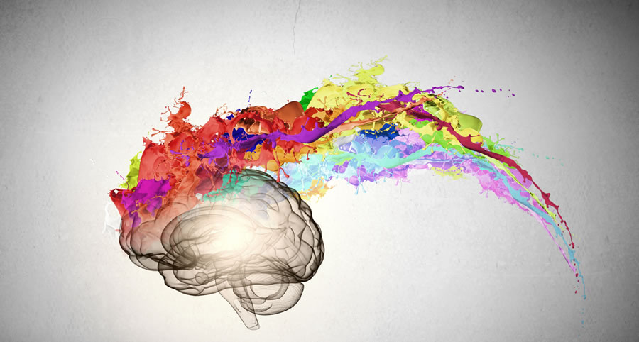 Understanding the Art of Selecting Interior Paint Colors